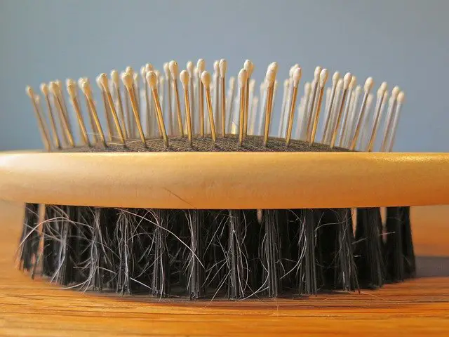 how to clean hair brush dust